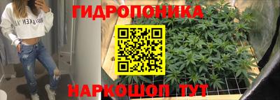 прущая мука Будённовск