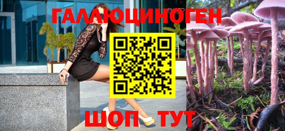 Артёмовский  Галлюциногенные грибы GOLDEN TEACHER  сколько стоит  Вход с VPN 